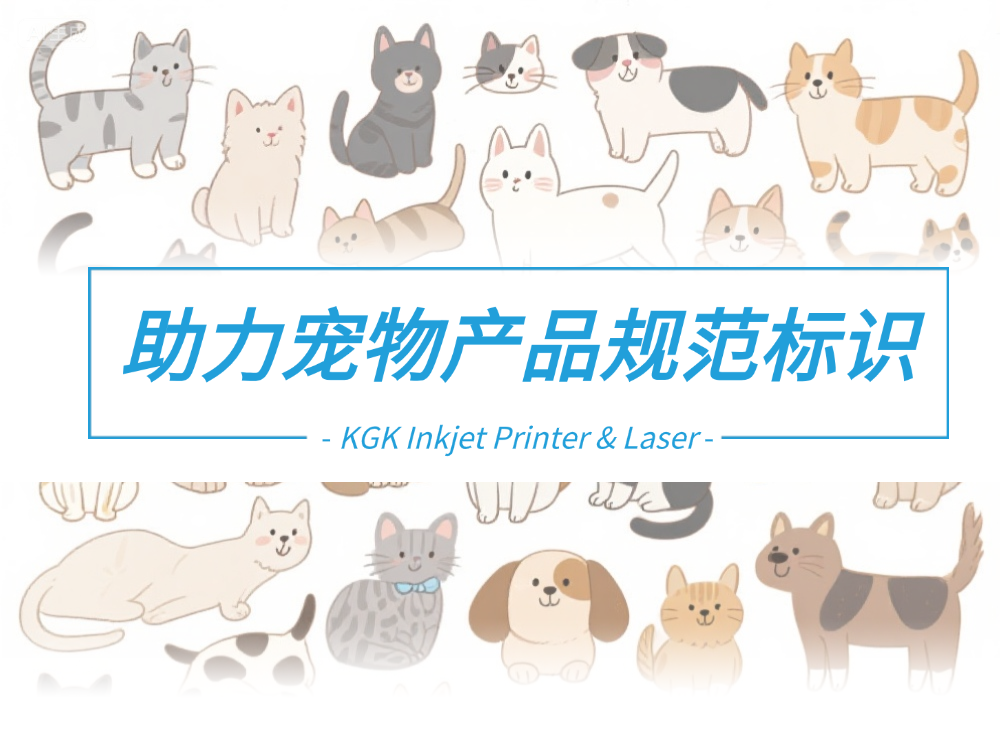 海报.png