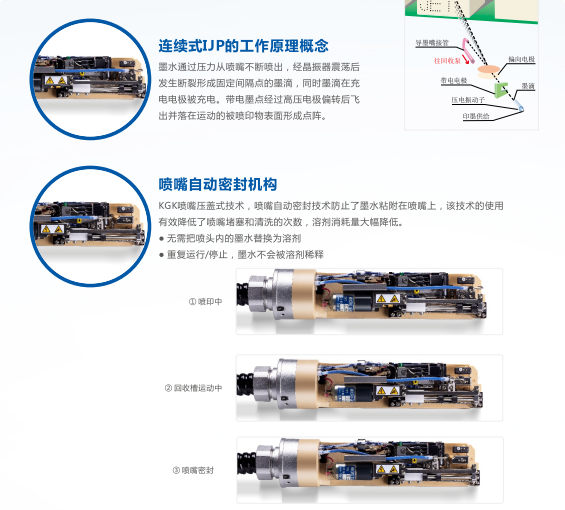 正在上传... QQ_1780919819156.png